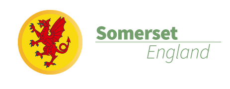 Somerset Solar Ranking Info