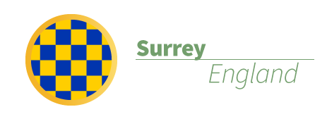 Surrey Solar Ranking Info